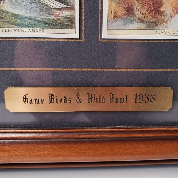 Players Cigarette Cards Game Birds & Water Fowl - Picture 2 of 11